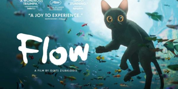 CINEMA SOTTO LE STELLE - FLOW