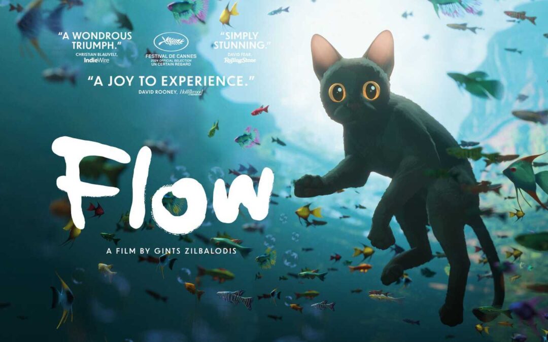 CINEMA SOTTO LE STELLE - FLOW